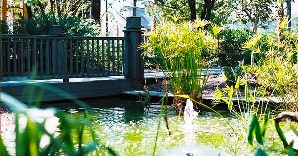 Web-Example-4.jpg