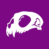 logo_icon.png