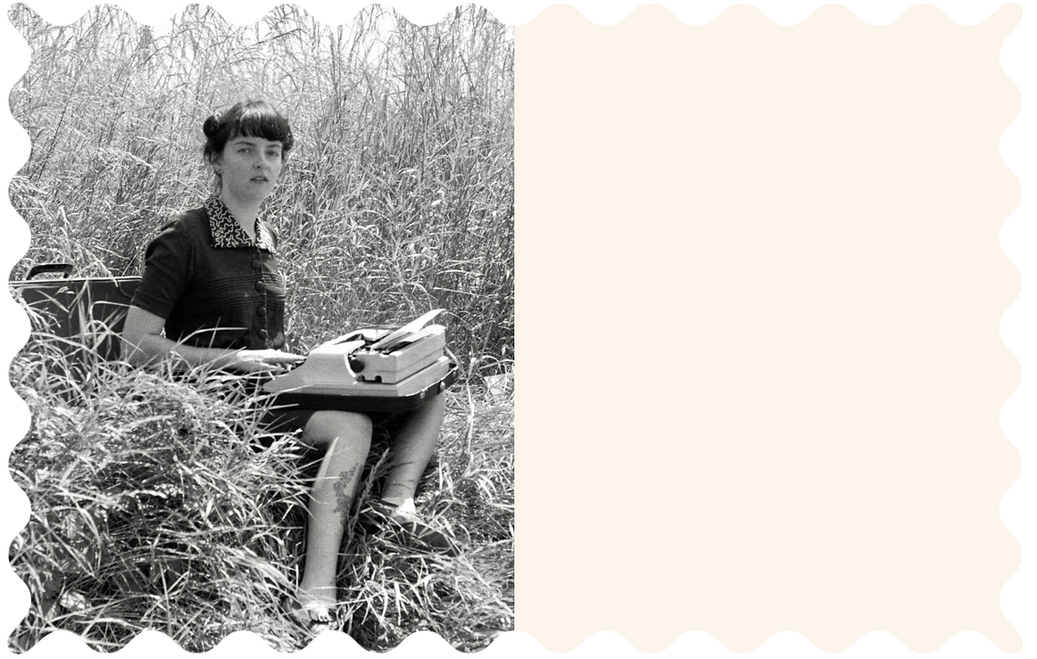 introductie afbeelding1.png