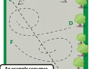 Practice Makes Perfect! Sample practice session.