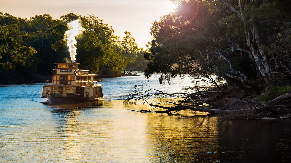 Paddlesteamer Cruises