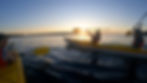 Middle Harbour Sunrise kayak Tour