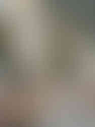 Group of guests relaxing in the outdoor lounge, surrounded by olive trees and natural textures.