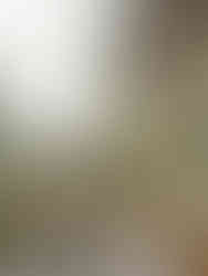 Floral altar arrangement in terracotta-toned vases, surrounded by pastel blooms and soft greenery under vine-covered trees.