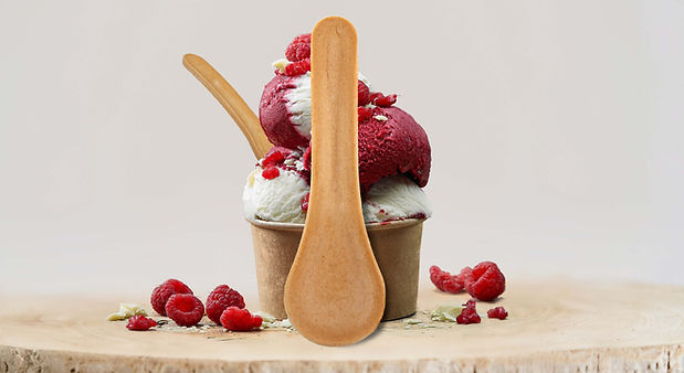 Ecopoon-Spoon_edited.jpg