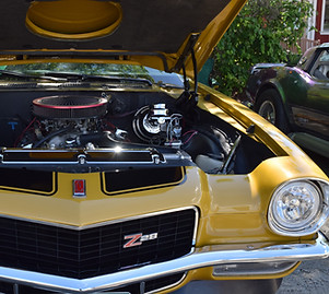 DSC_0808.JPG