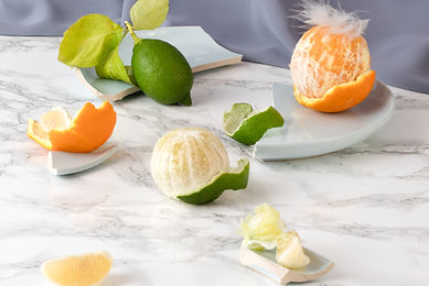 Citrus Fruits_edited.jpg