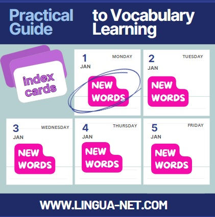 The Power of Good Old Index Cards (Or how to learn 1825 words a year…)