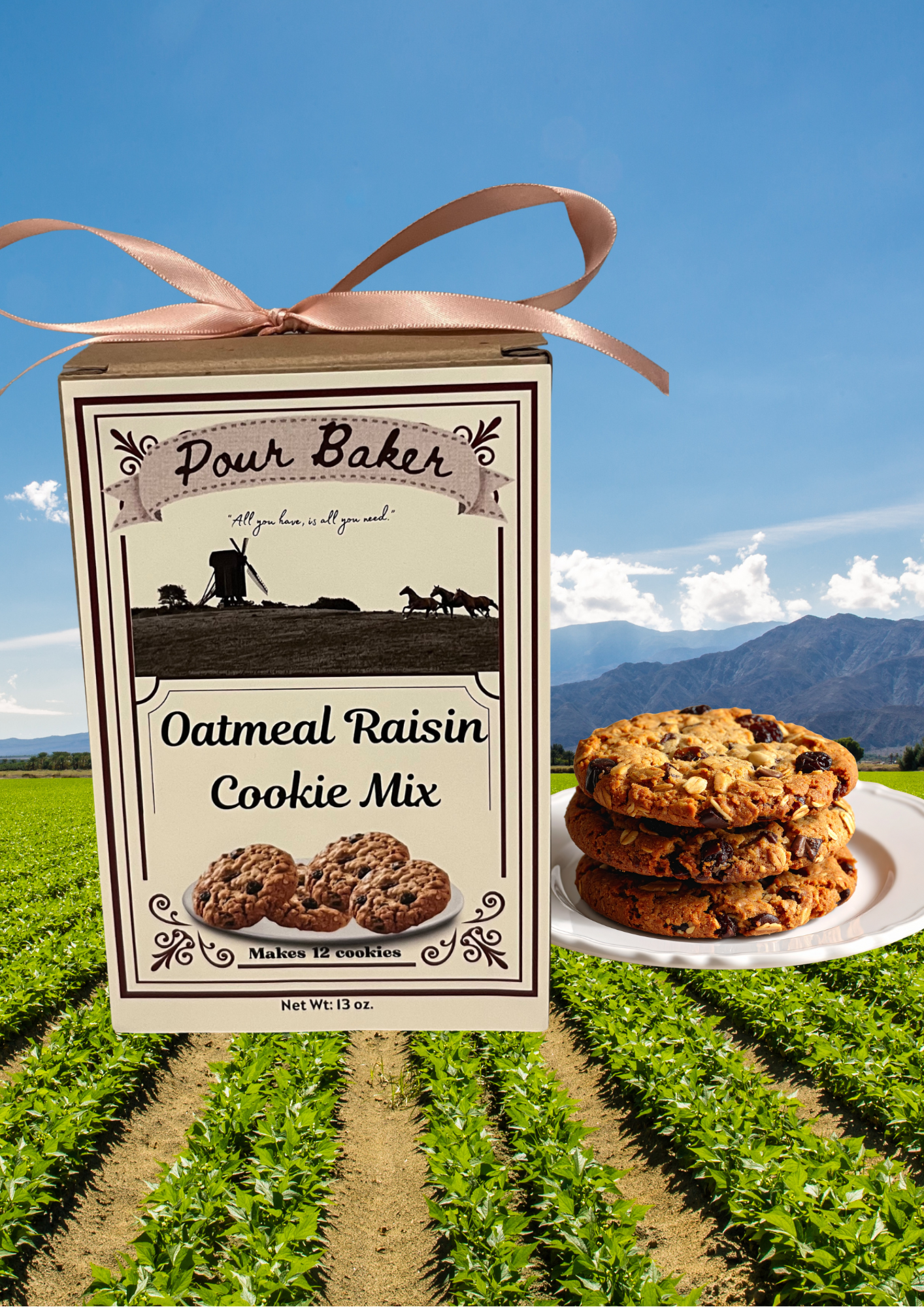 Oatmeal Raisin Cookie Mix