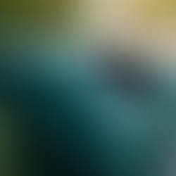 Transforming Urban Spaces with Smart Waste Management Solutions