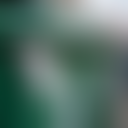 Revolutionizing Waste Management with RFID Technology