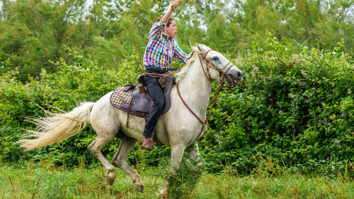 cavalière au galop sur cheval de camargue photo l'œil du moineau