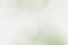 bg-watercolor.jpg