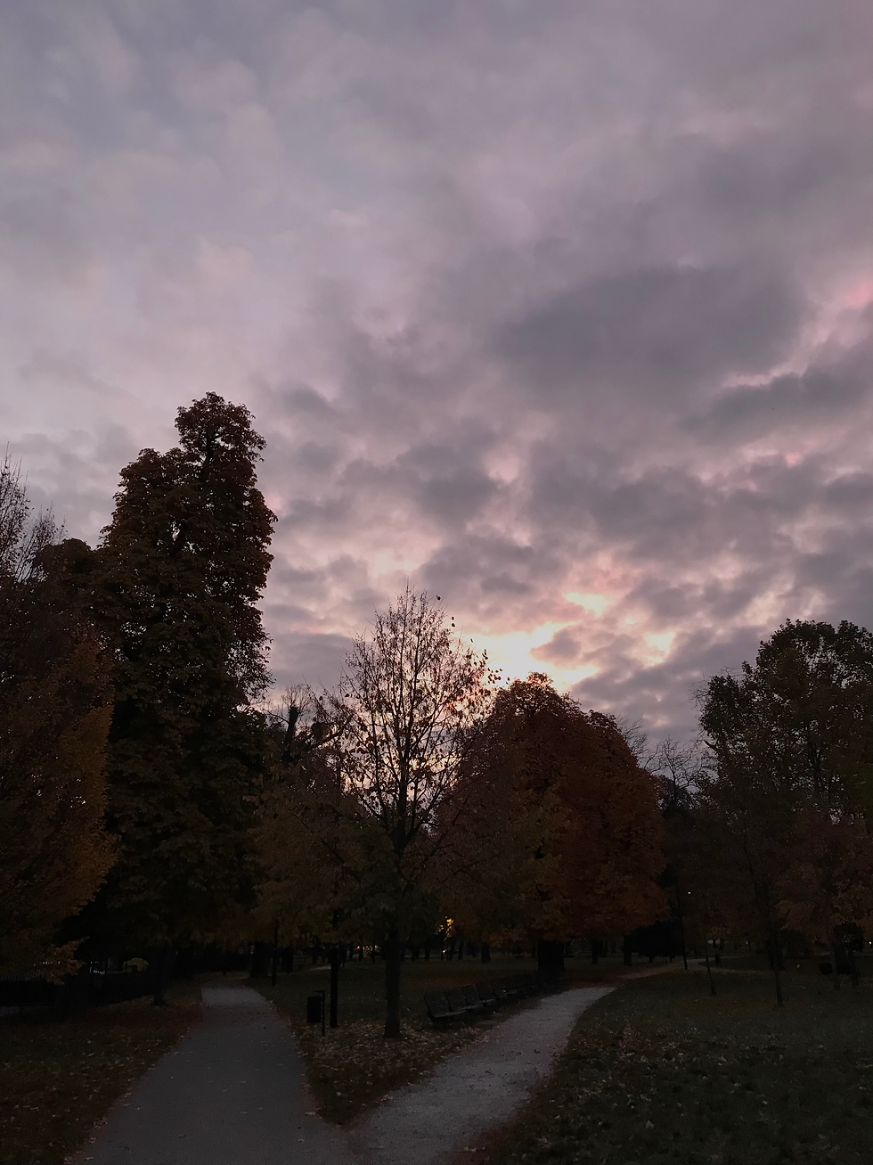 Roads in Park