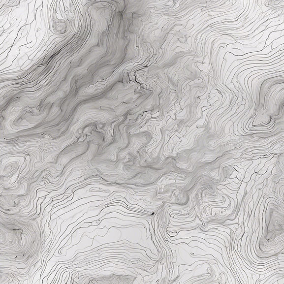 topographical map .jpg