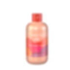 Pro Color Perfecting Shampoo 300 ml