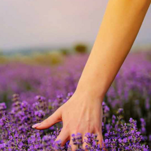 AROMATERAPİ FESTİVALİ: TARLADAN HASADA İYİLİK, SAĞLIK, GÜZELLİK