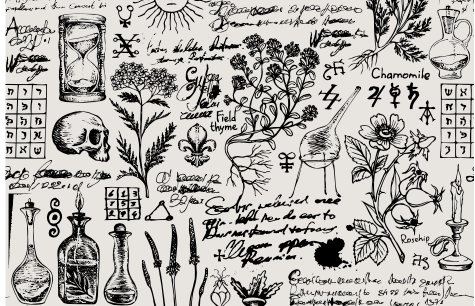 GEÇMİŞTEN GÜNÜMÜZE FİTOTERAPİ