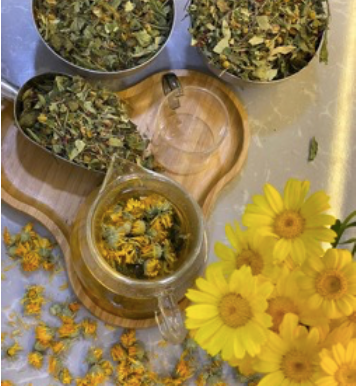 Bitkilerin Gizli Gücü