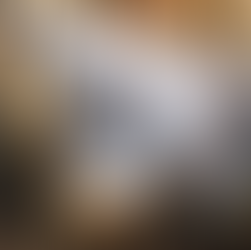 41 YILLIK BİR RÜYA: İSTANBUL FİLM FESTİVALİ