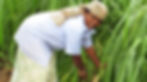 Project SEED - Health, Nutrition & Wellbeing in Marginalised Communities