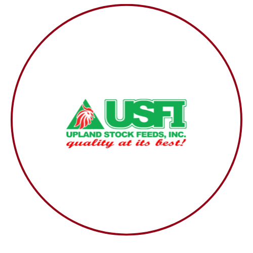 USFI