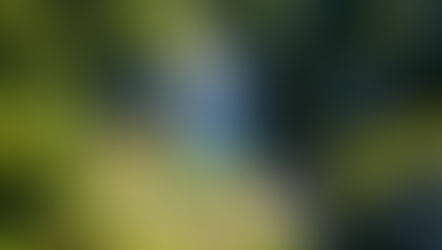 🇧🇦 Bosnia & Herzegovina: 10 Must-Do Experiences for 2026