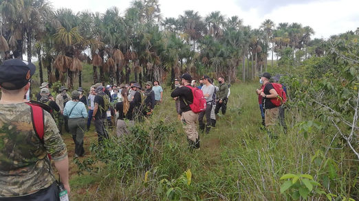 Equipo médico con producción completa en campo