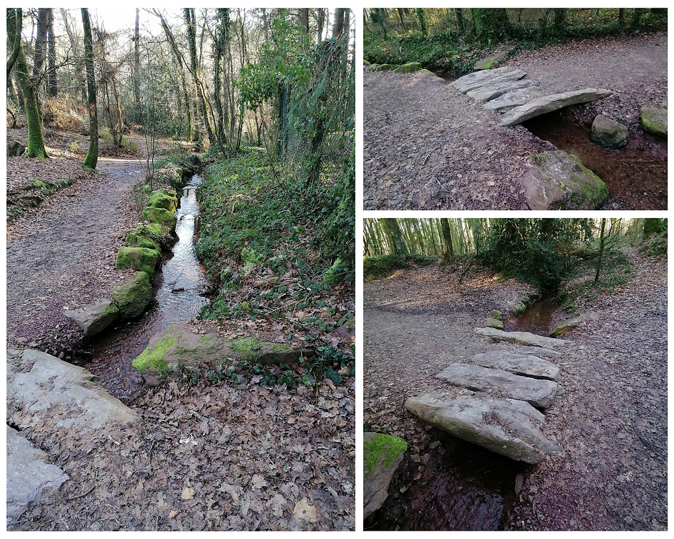 Traversée du ruisseau, chemin de la Fontaine de l'Eternelle Jeunesse 19/01/2024