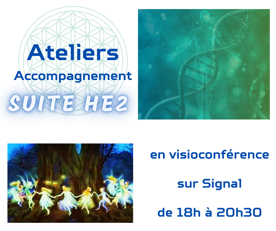 Accompagnement stage HE2