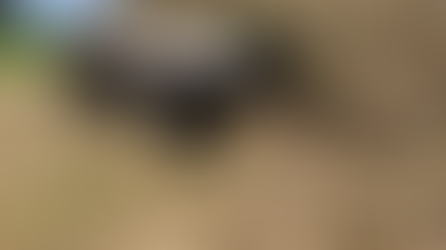 Le tumulus de Poulgen