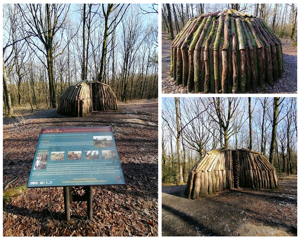 Fouée des Charbonniers, vers le Chêne des Hindrés