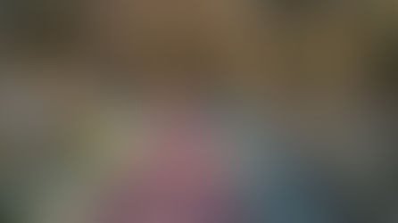 La forêt de Brocéliande