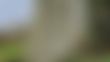 Le Menhir de Kerelcun