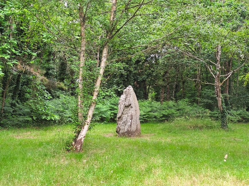 Menhir du site de Quélarn