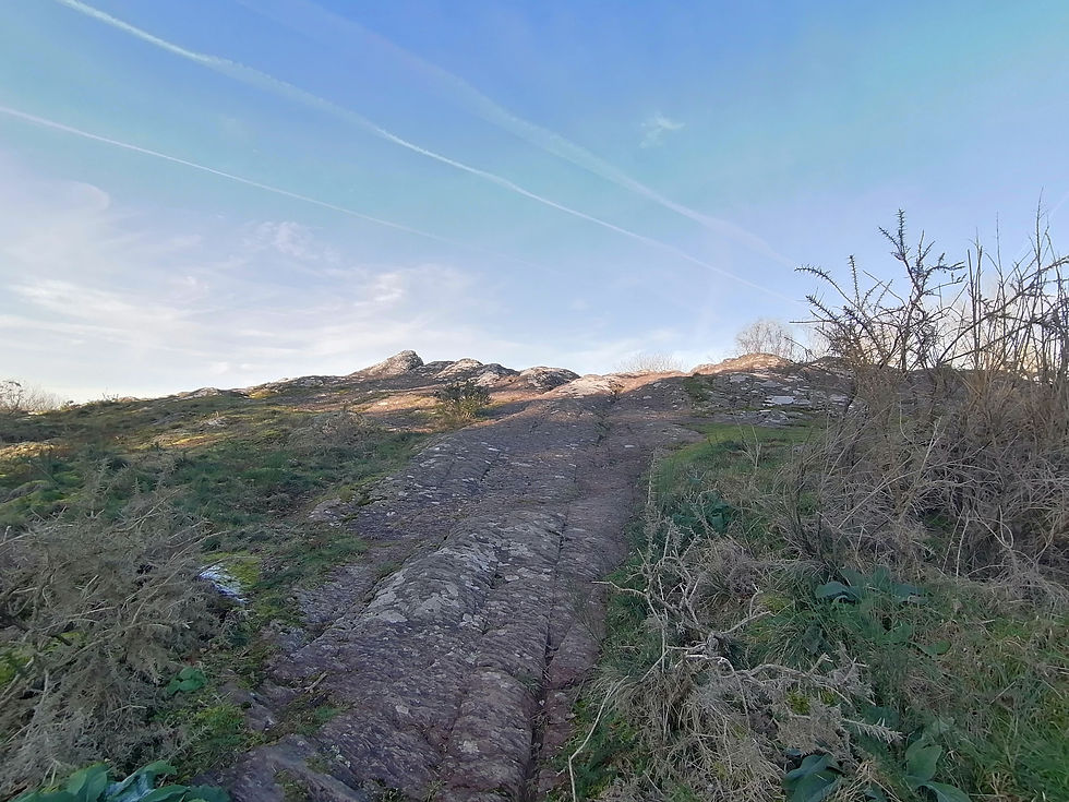 Aile de dragon, Hotié de Viviane