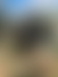 Que sont les Mégalithes ?