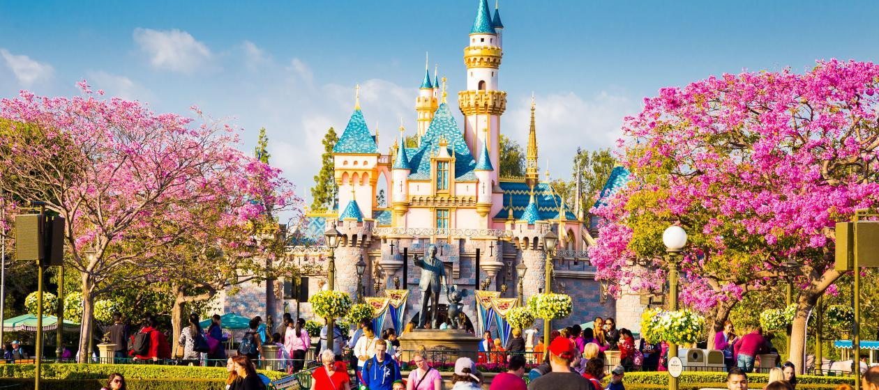 Disneyland