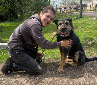 A dog trainer crouching down with a rescue dog.
