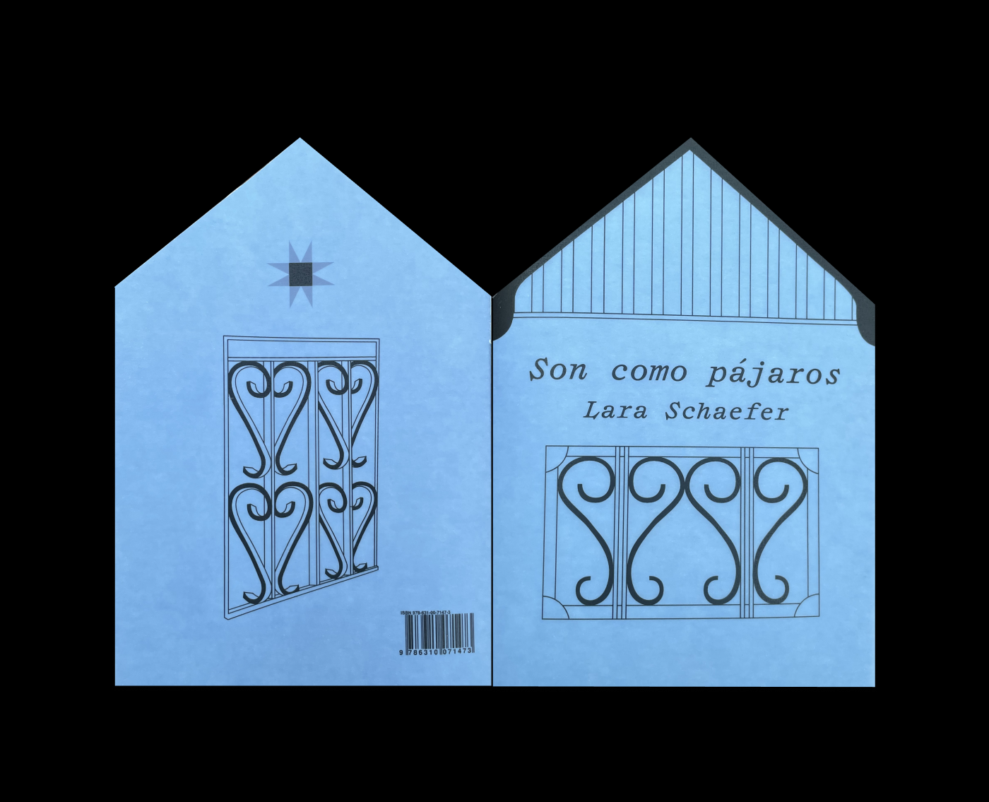 Son como pájaros, Lara Schaefer