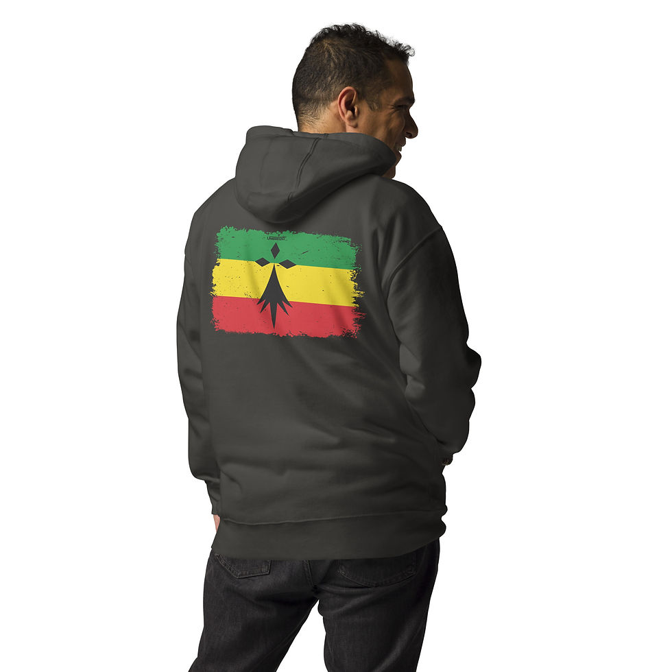 Miniature : Sweat Homme - Kingston wt