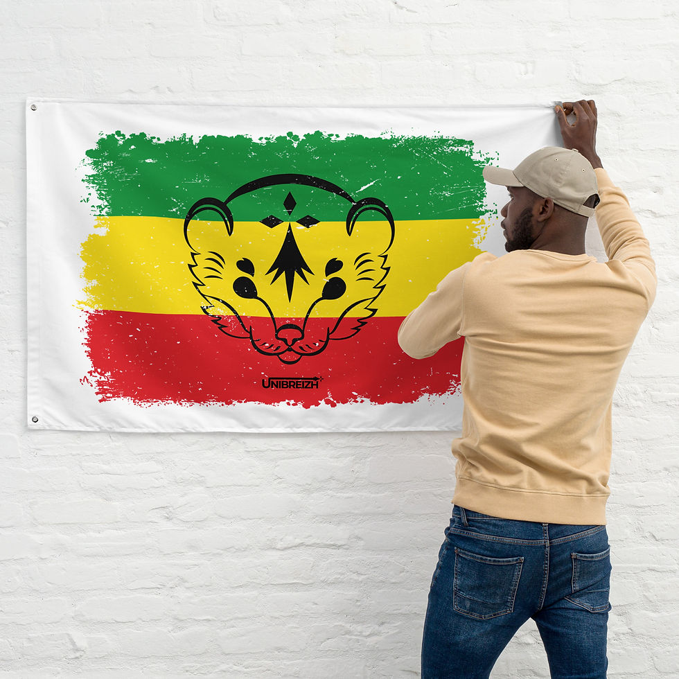 Miniature : Drapeau Fuos