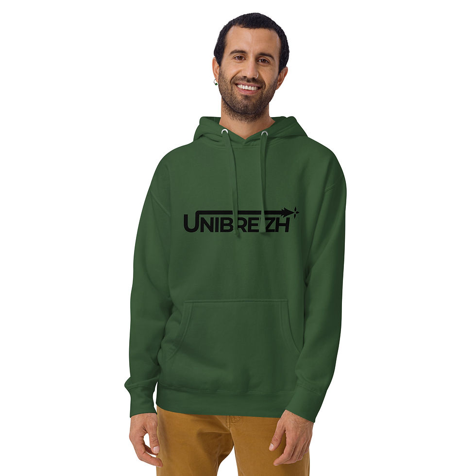 Miniature : Sweat Homme - Kingston bk