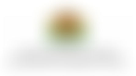 arise logo