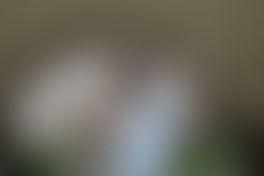 Domingo de Páscoa: Jesus Ressuscitou!