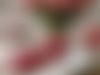 The Perfect Valentine’s Day Gift: A Tablecloth Made for Sharing Meals Together