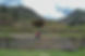 46. Rumichaca.jpg