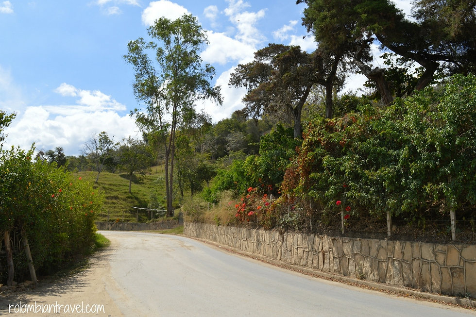 paisaje en cundinamarca