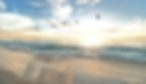 five%20birds%20flying%20on%20the%20sea_edited.jpg