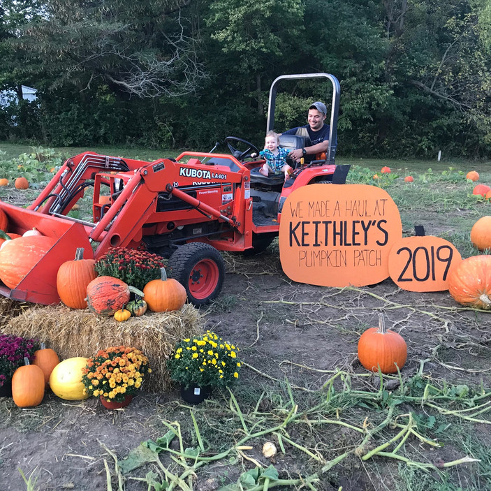 19 Pumpkin Patches Across Central Illinois
